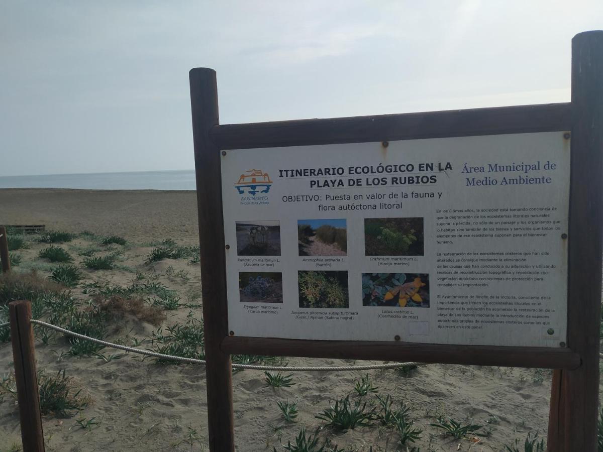 Suites Beach Nature Velez Malaga Eksteriør billede